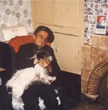 albert0154