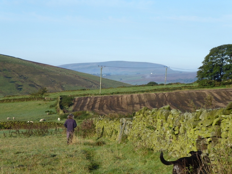 Distant Pendle