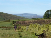Distant Pendle