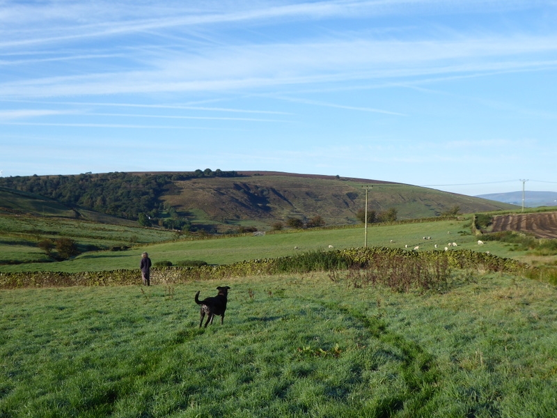 kelbrook moor