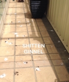 shitten ginnel by Maz
