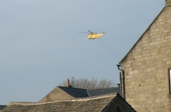 SAR