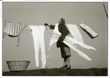 Washing day