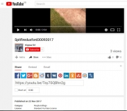 YouTube share