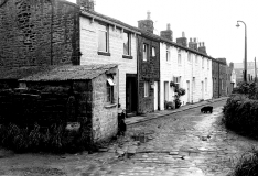 CrowRow1980
