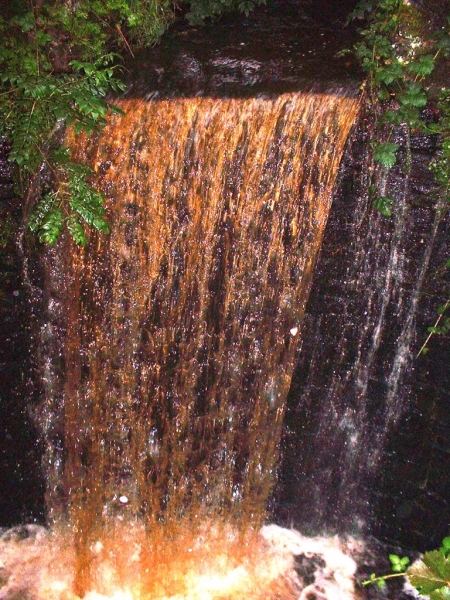 FortySteps060901