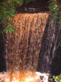 FortySteps060901