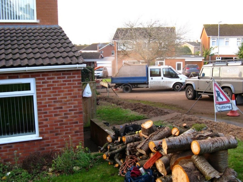 Hedge_removal1
