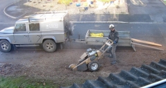Hedge_removal3