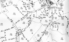 FortySteps1892 map