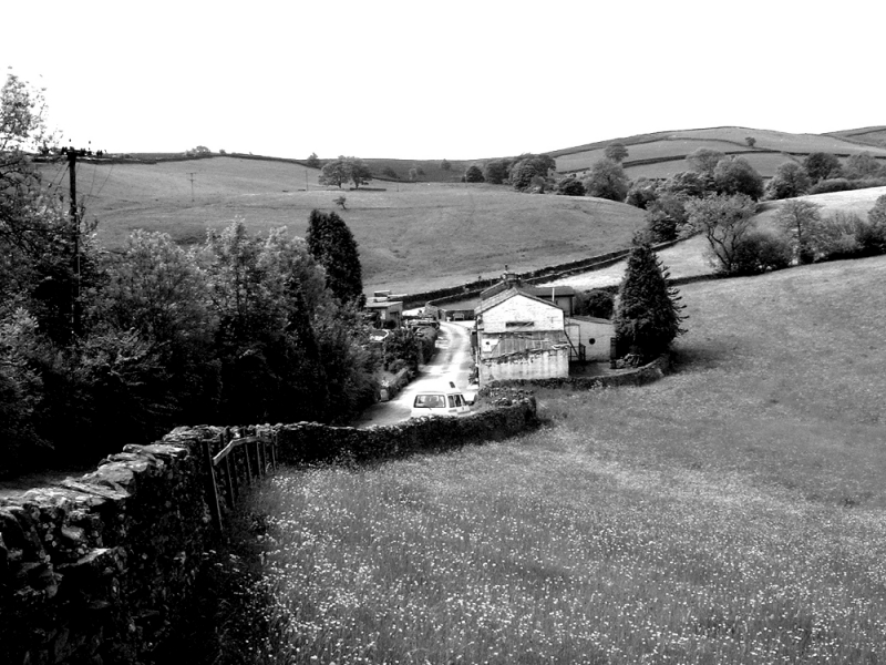 LaneBottomJune09