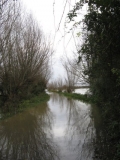 Flood near Tizer's house