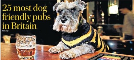 Pic from front page of newspaper