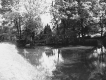 SpringsDam