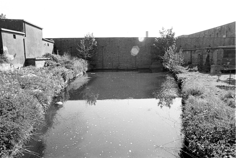 CalfHalldam7864