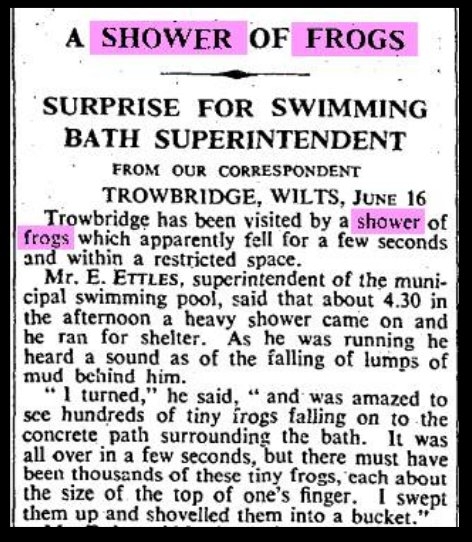 Shower of frogs