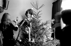 ChristmastreeHey7722803