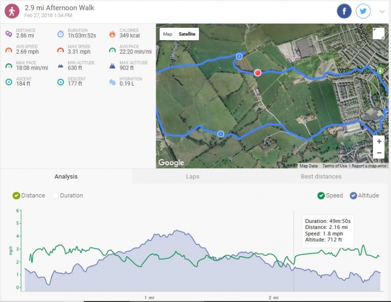 Hollins - Raygiil Loop