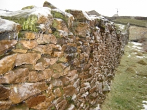 Ice covered wall