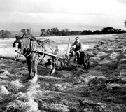 AbelTaylormowing0356