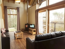 Log cabin lounge