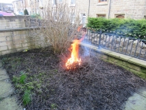 FRONT GARDEN 270318