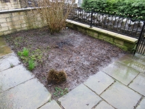 FRONT GARDEN 02 270318