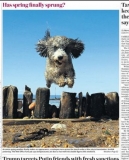 Photo from front page of The Times, 6/4/18