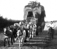 Broadwheeledwagon