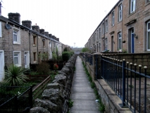 Garden fronts 240418