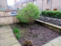 FRONT GARDEN 290418