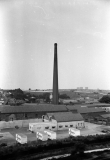 Swabs765506