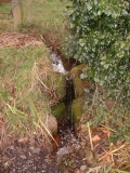FollyWell08