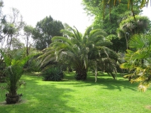 Penlee gardens in Penzance, Cornwall