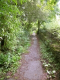 Shittenginnel0905