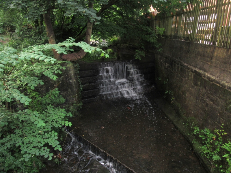 Butts Beck 170718