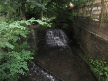 Butts Beck 170718