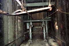 Ellenroadcellar870702