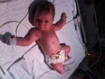 ALEXANDER jAMES 05012013