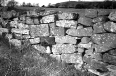 MalkinTowerwallaug0204