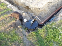 wellhead 3
