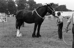 SuttonColdfieldshow764519