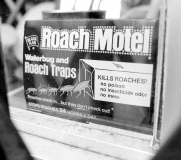 RoachMotelNewYork814401