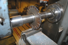 Newton engine 03 250918