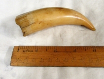 MYSTERY OBJECT 631