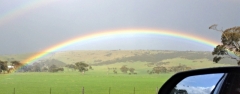 Maz rainbow
