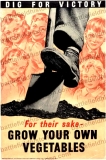 Dig for victory poster