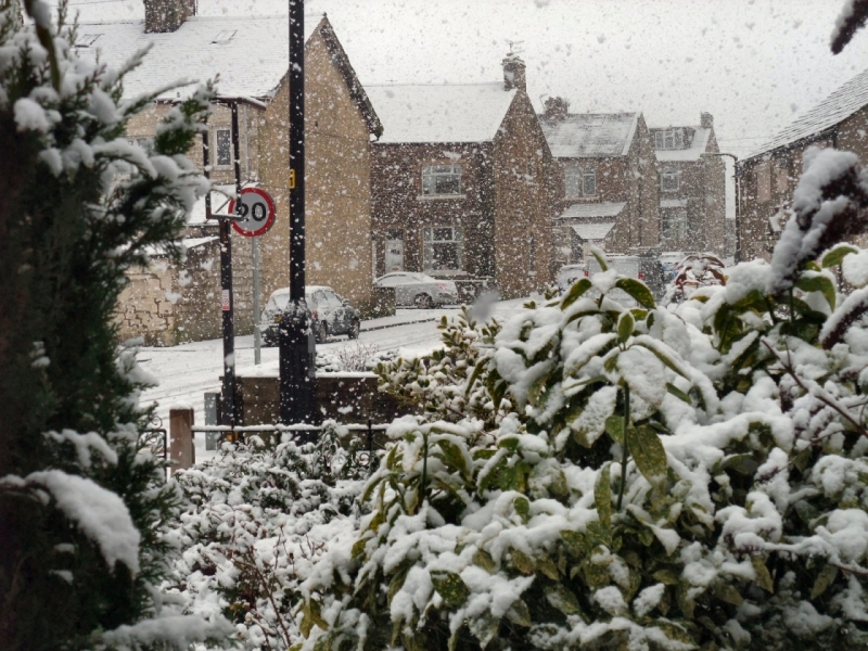 A Winters Day