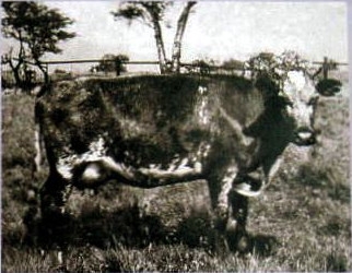 MYSTERY OBJECT 637