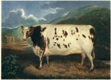 MYSTERY OBJECT 638
